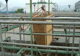丝盛绢纺污水站升级改造
